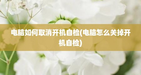 电脑如何取消开机自检(电脑怎么关掉开机自检)