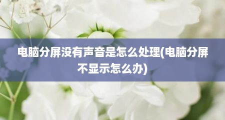 电脑分屏没有声音是怎么处理(电脑分屏不显示怎么办)