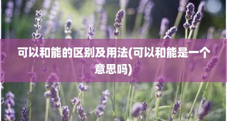 可以和能的区别及用法(可以和能是一个意思吗)