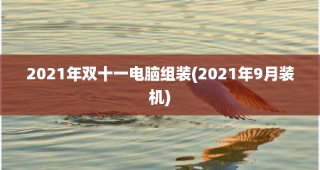 2021年双十一电脑组装(2021年9月装机)