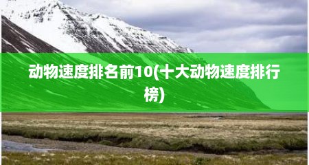 动物速度排名前10(十大动物速度排行榜)