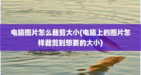 电脑图片怎么裁剪大小(电脑上的图片怎样裁剪到想要的大小)