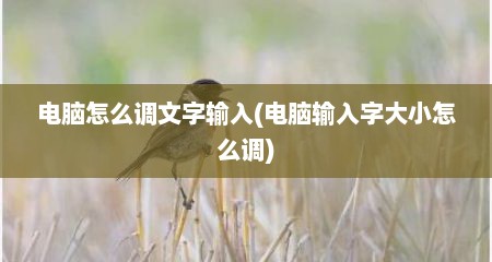 电脑怎么调文字输入(电脑输入字大小怎么调)