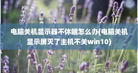 电脑关机显示器不休眠怎么办(电脑关机显示屏灭了主机不关win10)