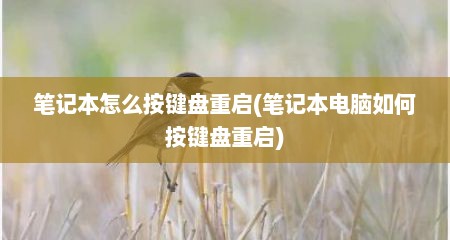 笔记本怎么按键盘重启(笔记本电脑如何按键盘重启)
