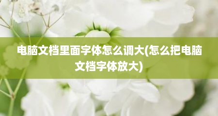 电脑文档里面字体怎么调大(怎么把电脑文档字体放大)