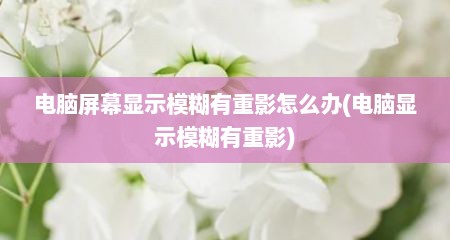 电脑屏幕显示模糊有重影怎么办(电脑显示模糊有重影)