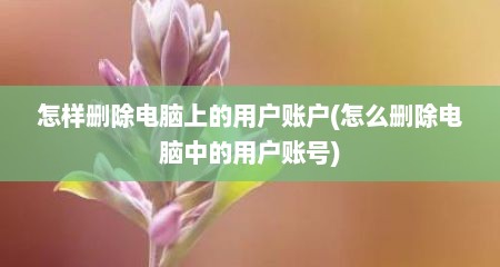 怎样删除电脑上的用户账户(怎么删除电脑中的用户账号)