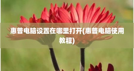 惠普电脑设置在哪里打开(惠普电脑使用教程)