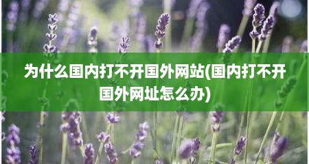 为什么国内打不开国外网站(国内打不开国外网址怎么办)