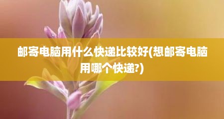 邮寄电脑用什么快递比较好(想邮寄电脑用哪个快递?)