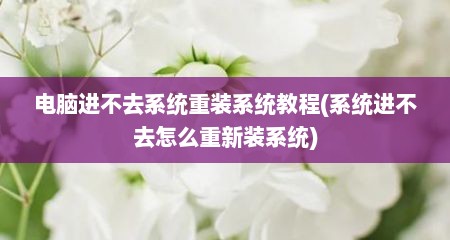 电脑进不去系统重装系统教程(系统进不去怎么重新装系统)