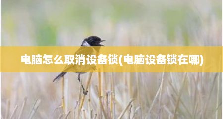 电脑怎么取消设备锁(电脑设备锁在哪)