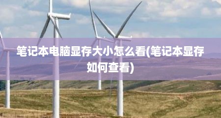 笔记本电脑显存大小怎么看(笔记本显存如何查看)
