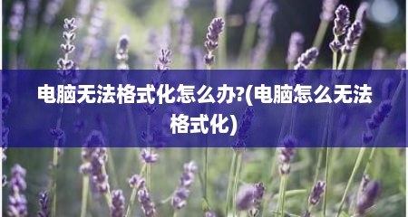 电脑无法格式化怎么办?(电脑怎么无法格式化)