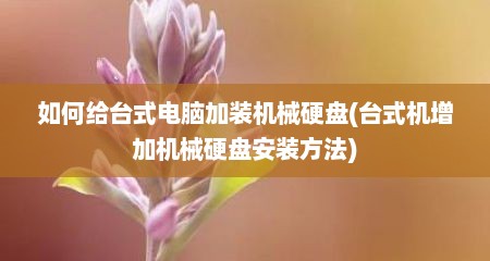 如何给台式电脑加装机械硬盘(台式机增加机械硬盘安装方法)