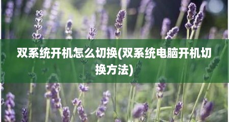 双系统开机怎么切换(双系统电脑开机切换方法)