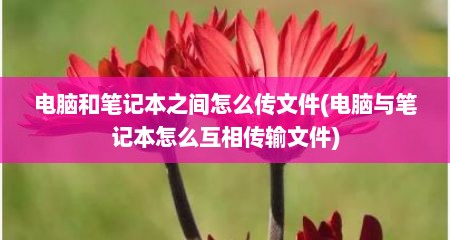电脑和笔记本之间怎么传文件(电脑与笔记本怎么互相传输文件)