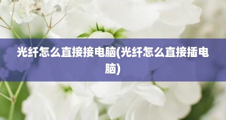 光纤怎么直接接电脑(光纤怎么直接插电脑)