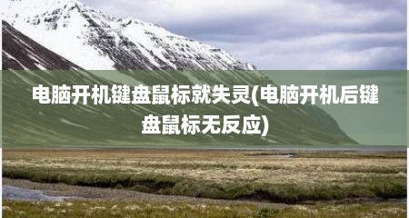 电脑开机键盘鼠标就失灵(电脑开机后键盘鼠标无反应)