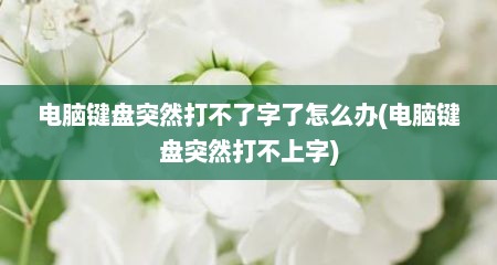 电脑键盘突然打不了字了怎么办(电脑键盘突然打不上字)