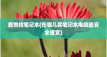 我想找笔记本(在哪儿买笔记本电脑最安全便宜)