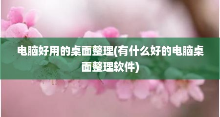电脑好用的桌面整理(有什么好的电脑桌面整理软件)