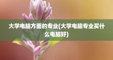 大学电脑方面的专业(大学电脑专业买什么电脑好)