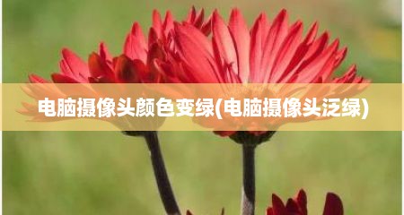 电脑摄像头颜色变绿(电脑摄像头泛绿)