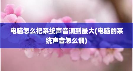 电脑怎么把系统声音调到最大(电脑的系统声音怎么调)