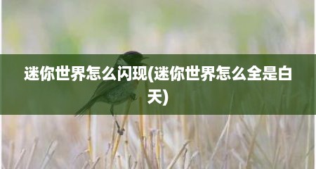 迷你世界怎么闪现(迷你世界怎么全是白天)
