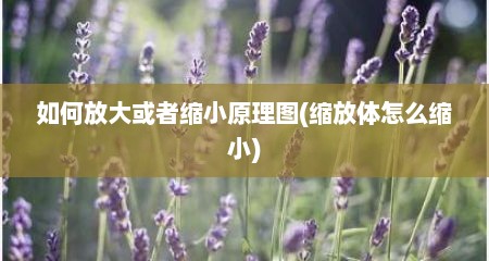 如何放大或者缩小原理图(缩放体怎么缩小)