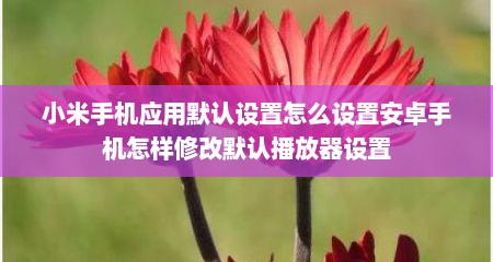 小米手机应用默认设置怎么设置安卓手机怎样修改默认播放器设置