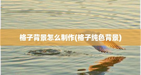 格子背景怎么制作(格子纯色背景)