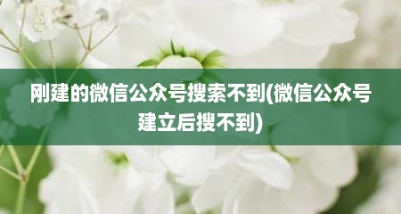 刚建的微信公众号搜索不到(微信公众号建立后搜不到)