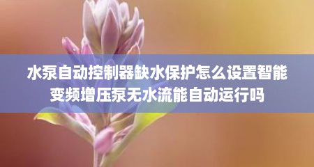 水泵自动控制器缺水保护怎么设置智能变频增压泵无水流能自动运行吗