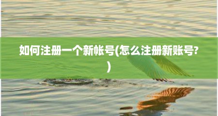 如何注册一个新帐号(怎么注册新账号?)