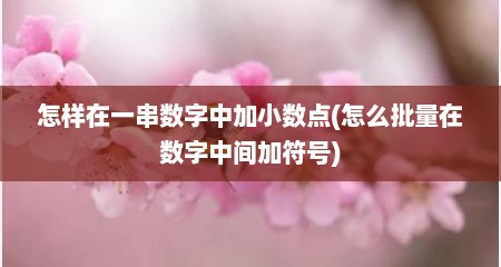 怎样在一串数字中加小数点(怎么批量在数字中间加符号)