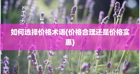 如何选择价格术语(价格合理还是价格实惠)