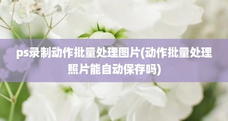 ps录制动作批量处理图片(动作批量处理照片能自动保存吗)