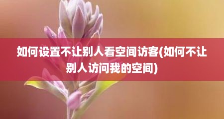 如何设置不让别人看空间访客(如何不让别人访问我的空间)