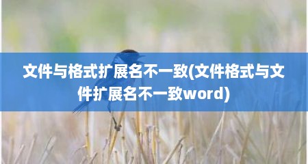 文件与格式扩展名不一致(文件格式与文件扩展名不一致word)