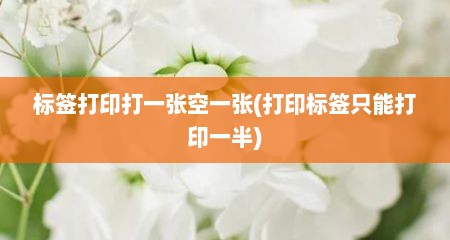 标签打印打一张空一张(打印标签只能打印一半)