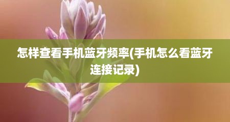 怎样查看手机蓝牙频率(手机怎么看蓝牙连接记录)