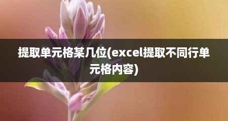 提取单元格某几位(excel提取不同行单元格内容)