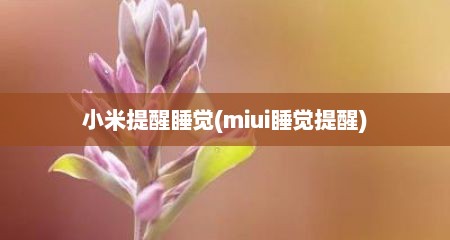 小米提醒睡觉(miui睡觉提醒)