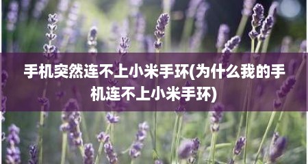 手机突然连不上小米手环(为什么我的手机连不上小米手环)