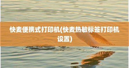 快麦便携式打印机(快麦热敏标签打印机设置)