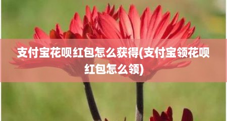 支付宝花呗红包怎么获得(支付宝领花呗红包怎么领)