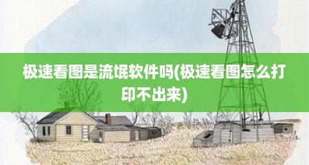 极速看图是流氓软件吗(极速看图怎么打印不出来)